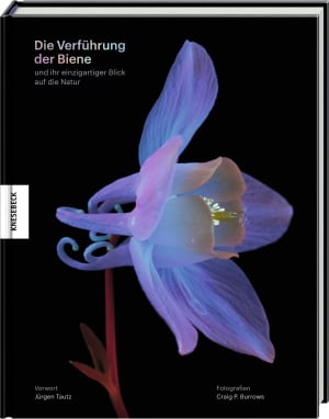 Cover von Die Verführung der Biene