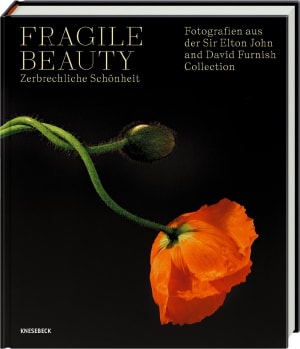 Cover von Fragile Beauty – zerbrechliche Schönheit