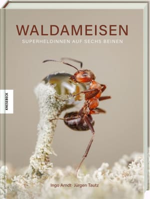 Cover von Waldameisen