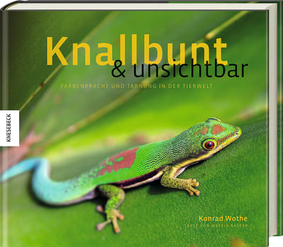 Knallbunt und unsichtbar