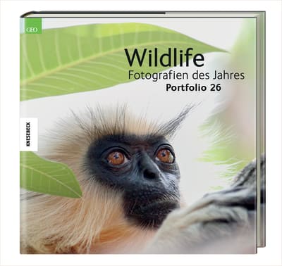 Wildlife Fotografien des Jahres – Portfolio 26