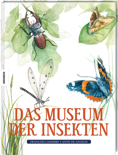 Das Museum der Insekten