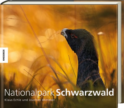Nationalpark Schwarzwald
