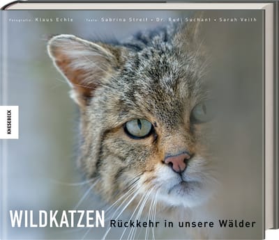 Wildkatzen