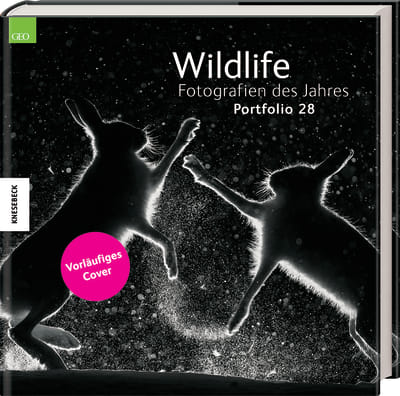 Wildlife Fotografien des Jahres – Portfolio 28