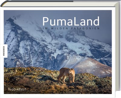 PumaLand
