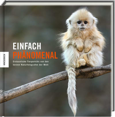 Einfach phänomenal