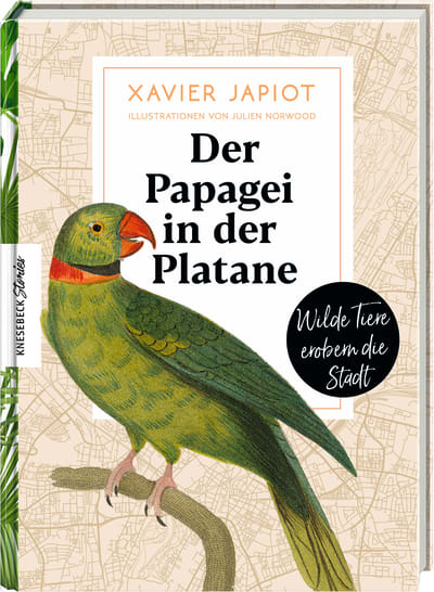Der Papagei in der Platane