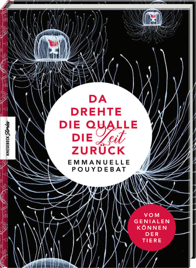 Da drehte die Qualle die Zeit zurück
