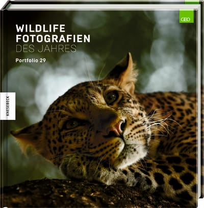 Wildlife Fotografien des Jahres – Portfolio 29