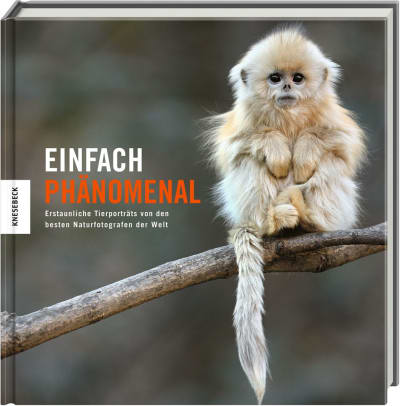 Einfach phänomenal