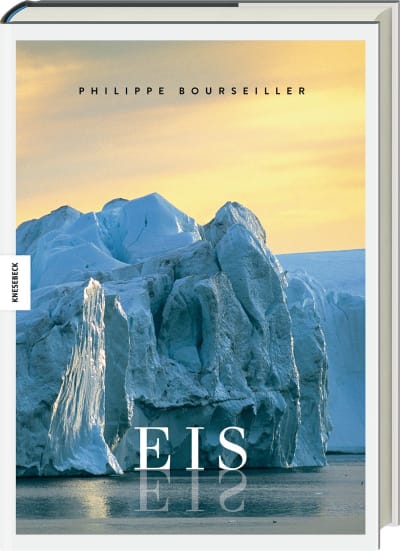 EIS