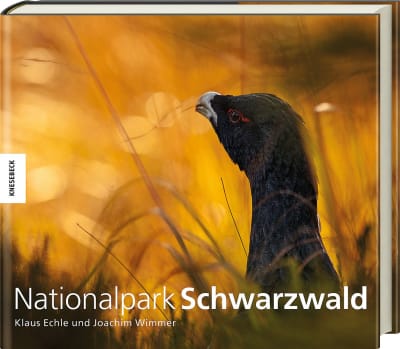 Nationalpark Schwarzwald