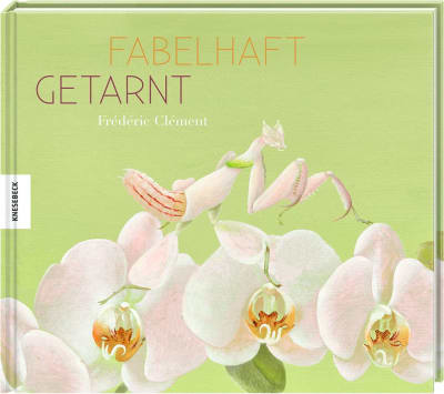 Fabelhaft getarnt