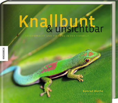 Knallbunt und unsichtbar