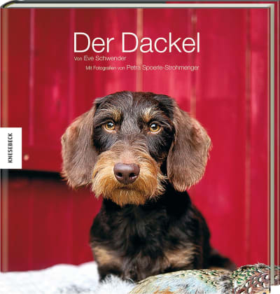 Der Dackel