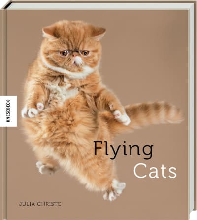 Flying Cats