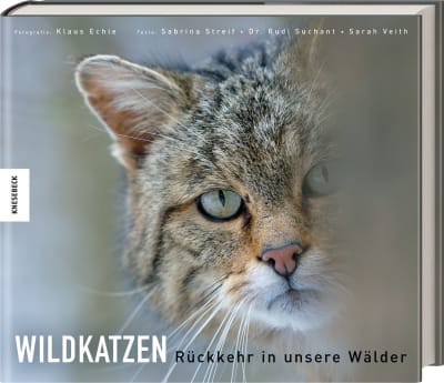 Wildkatzen