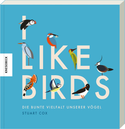I like Birds