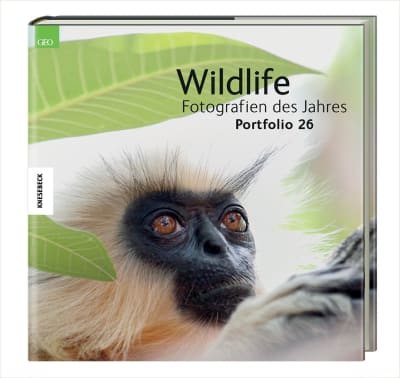 Wildlife Fotografien des Jahres – Portfolio 26