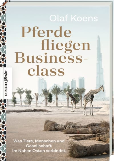 Pferde fliegen Businessclass