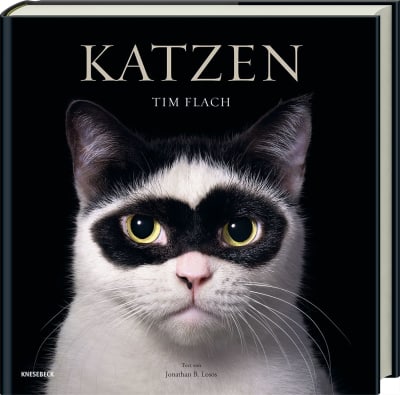 Katzen