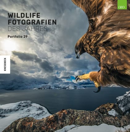 Ausstellung | Wildlife Fotografien des Jahres Portfolio 29