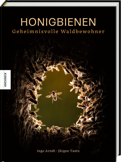 Vortrag | Unsere Bienen – unersetzbar – und was wir mit und von ihnen lernen können