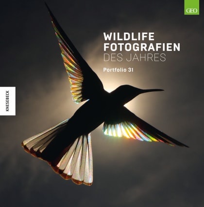 Ausstellung | Wildlife Fotografien des Jahres Portfolio 31