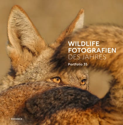 Wildlife Photographer of the Year 2025