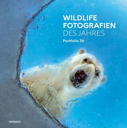 Wildlife Photographer of the Year 2026