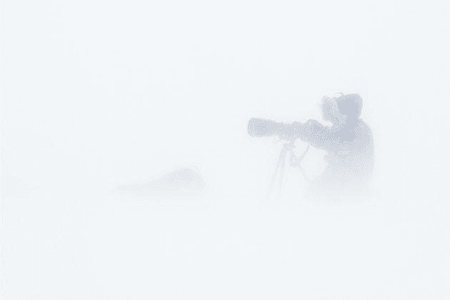 Vincent Munier