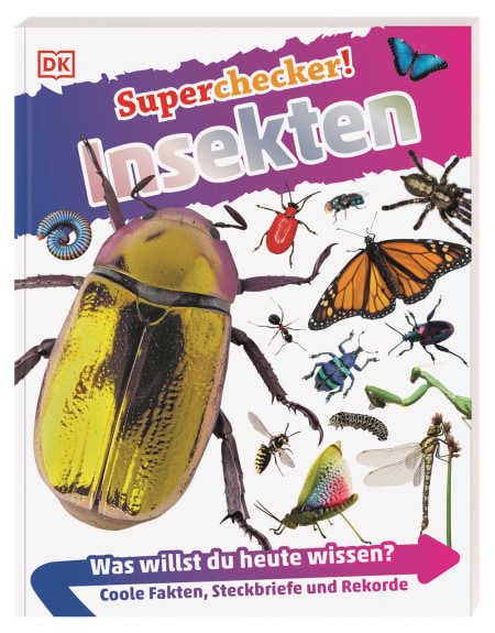 Superchecker! Insekten von Andrea Mills, Wolfgang Beuchelt, Brigitte Rüßmann Coverbild Superchecker! Insekten von Andrea Mills, Wolfgang Beuchelt, Brigitte Rüßmann, 9783831043743