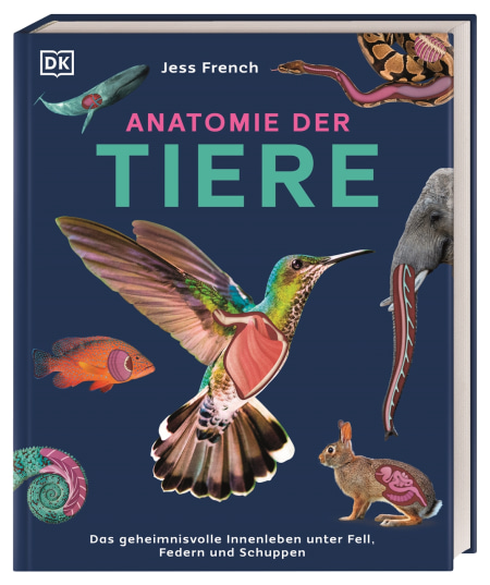 Anatomie der Tiere von Jess French, Jonathan Woodward, Eva Sixt Coverbild Anatomie der Tiere von Jess French, Jonathan Woodward, Eva Sixt, 9783831050451