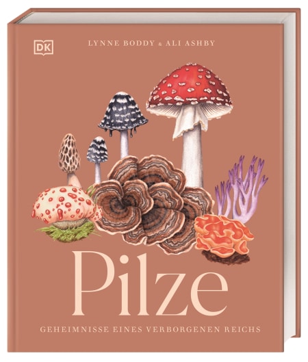Pilze von Lynne Boddy, Eva Sixt, Ali Ashby Coverbild Pilze von Lynne Boddy, Eva Sixt, Ali Ashby, 9783831049721