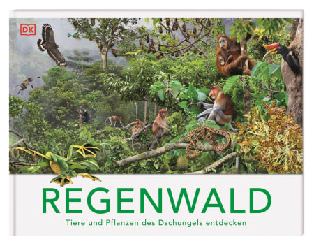 Regenwald von Michael Kokoscha, Michael Leach, Meriel Lland Coverbild Regenwald von Michael Kokoscha, Michael Leach, Meriel Lland, 9783831051458