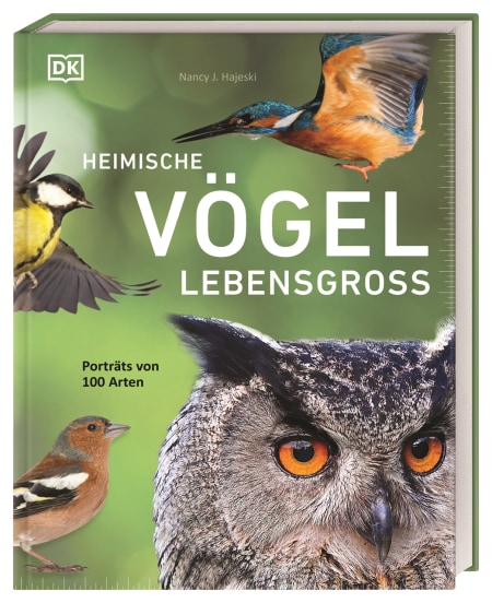 Coverbild Heimische Vögel lebensgroß von Andreas Held, Nancy J. Hajeski, 9783831050635