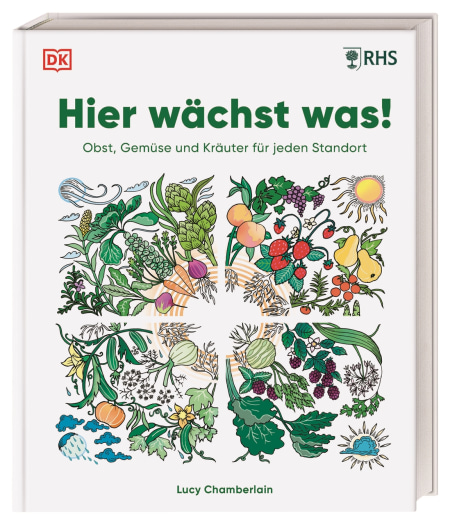 Coverbild Hier wächst was! von Lucy Chamberlain, Reinhard Ferstl, 9783831051984