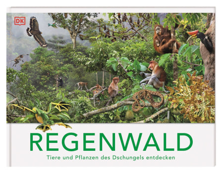 Coverbild Regenwald von Michael Kokoscha, Michael Leach, Meriel Lland, 9783831051458