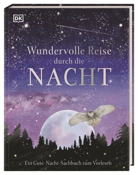 Coverbild Wundervolle Reise durch die Nacht von Birgit Reit, 9783831041244