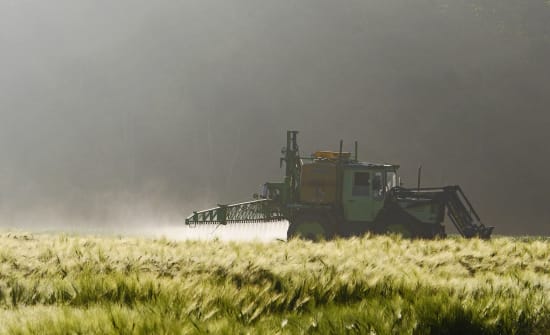 Pflanzenschutzmittel: Mehr Klarheit über Rückstände in Lebensmitteln