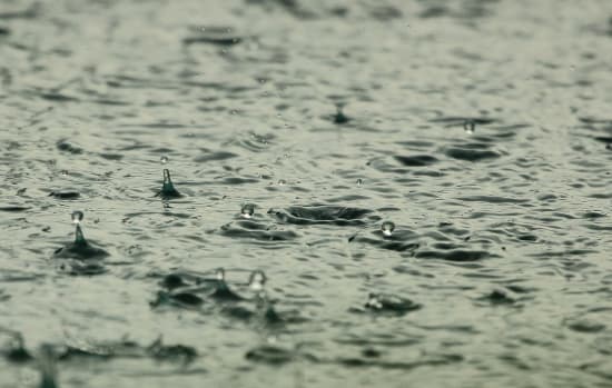 WHO will mehr Studien über Folgen von Mikroplastik im Trinkwasser