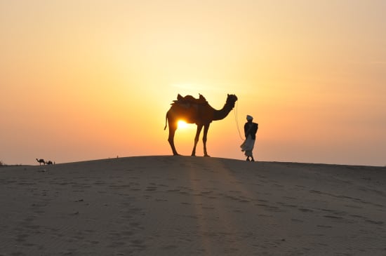 Neues EU-Projekt CAMELMILK gestartet