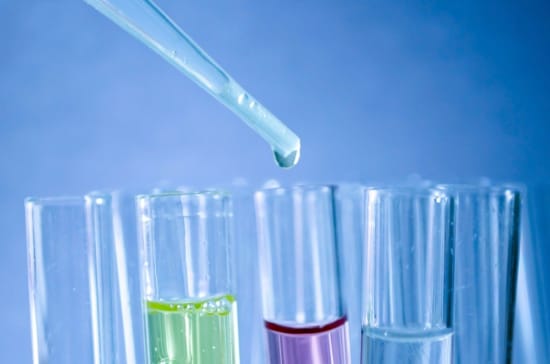 DNA-basierte Bestimmung der biologischen Identität von Äpfeln