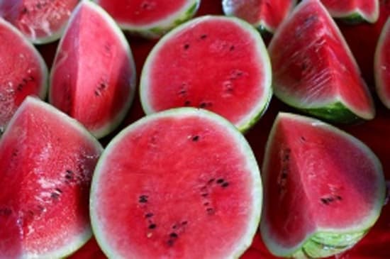 Melonen in der mikrobiologischen Untersuchung