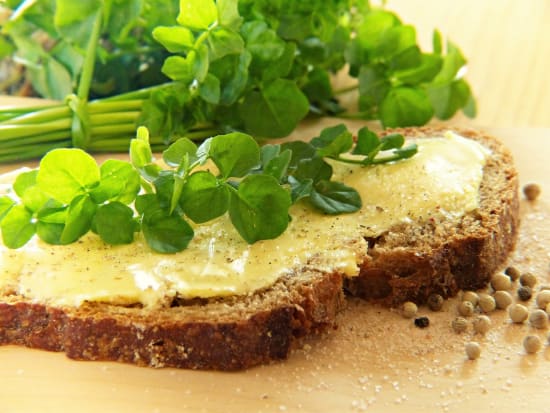 Veganer Brotaufstrich im Test