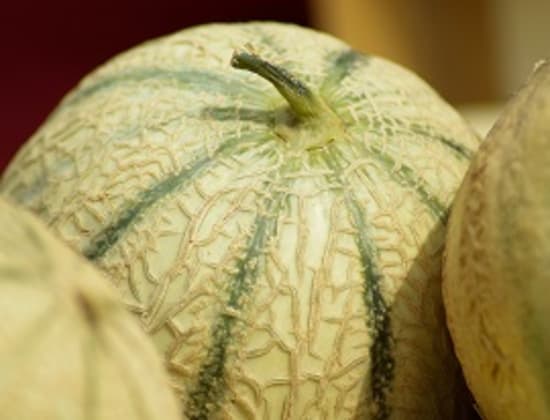 	Pflanzenschutzmittelrückstände auf Melonen?