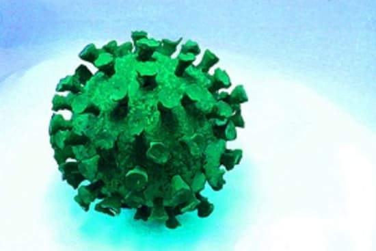 Fragen und Antworten zum Coronavirus