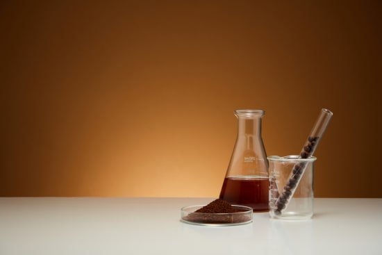 Lebensmittelsicherheit im Blick