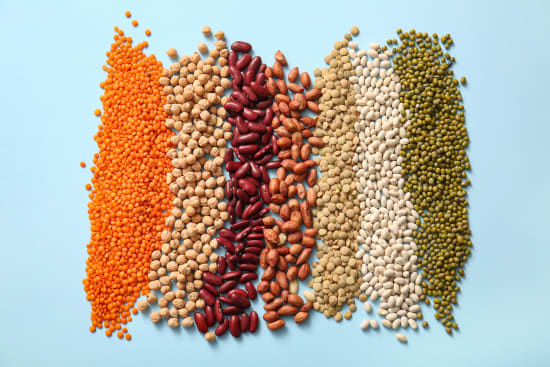 Alternative Proteinquellen – höheres Tempo gefragt 